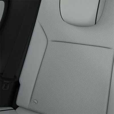 Light Grey Synthetic Leather with black roof