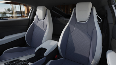 Blue and White Two-Tone Leather (Rear Seats Fabric)