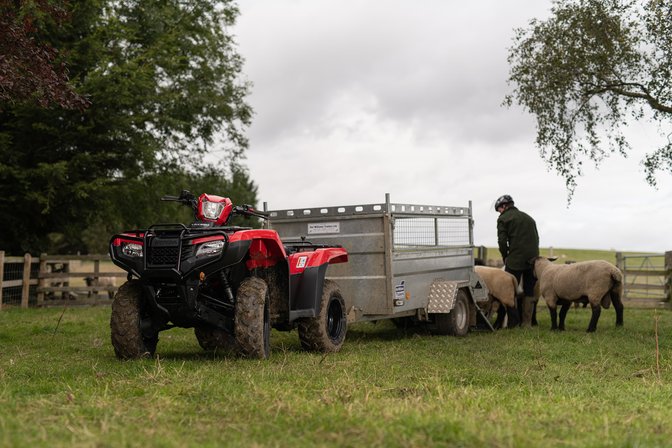 Foreman being used by model, forest location.