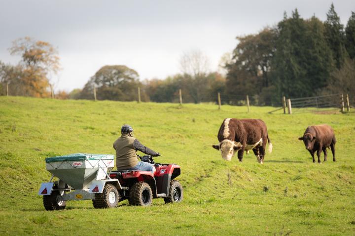 A farmer on a red Honda ATV with an attached fertilizer spreader drives across a green pasture. Two brown cows graze nearby in the field, with trees visible in the background.