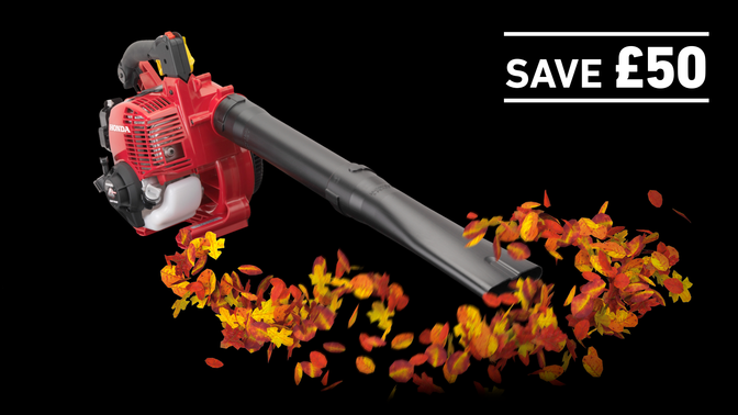 HHB 25 E on leaves in a dark background with save £50