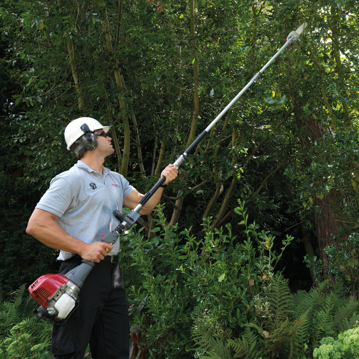 Man using versatool in tree 