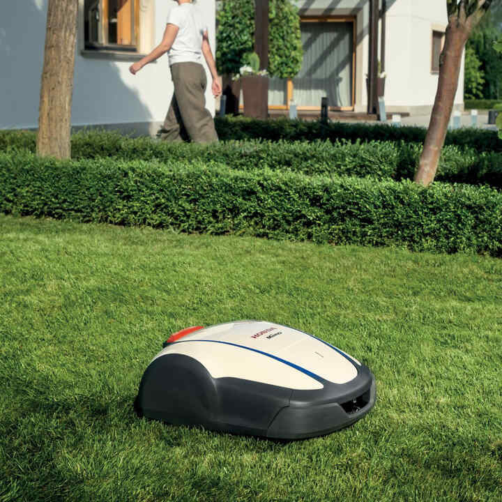 Miimo at work on lawn