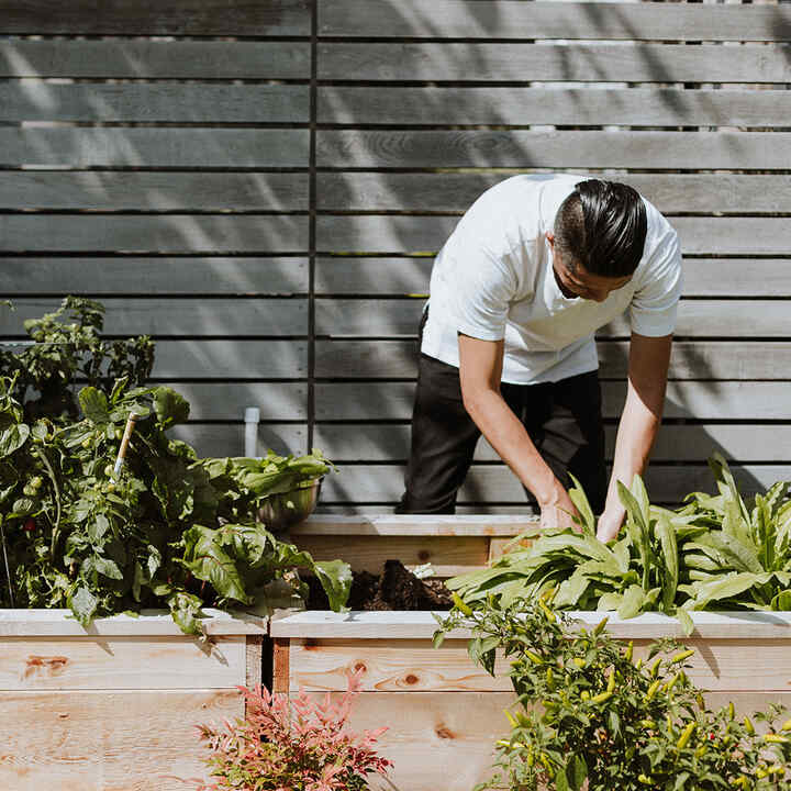 Man gardening with hands planting in the soil.