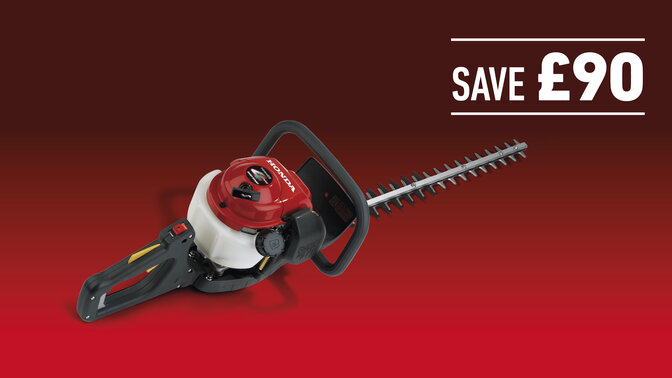 HHH 25D 75E on hedge in a dark background with save £90