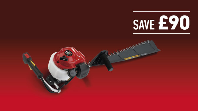 HHH 25S 75E on hedge in a dark background with save £90