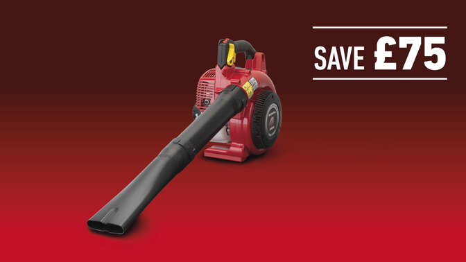 Honda Leaf Blower Offer