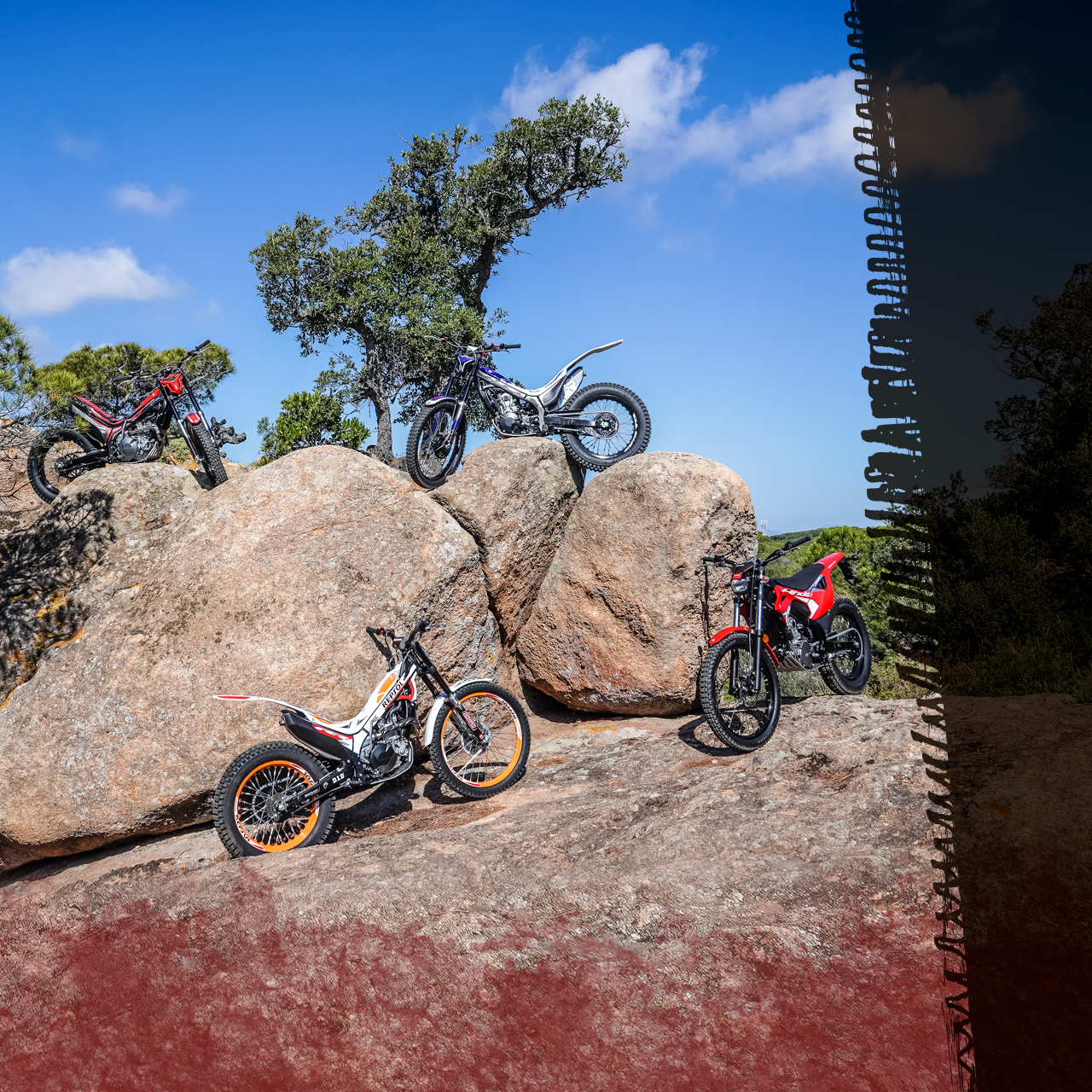 Off-Road Dealerships