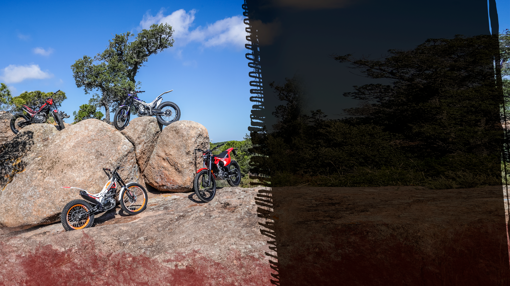 Off-Road Dealerships