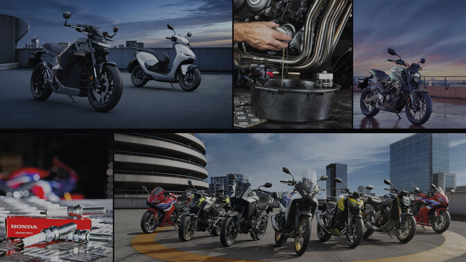 Honda wings logo on fuel tank