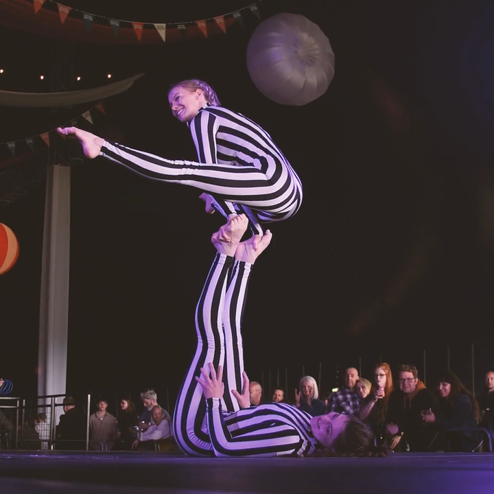 Rock n Roll Circus Performers