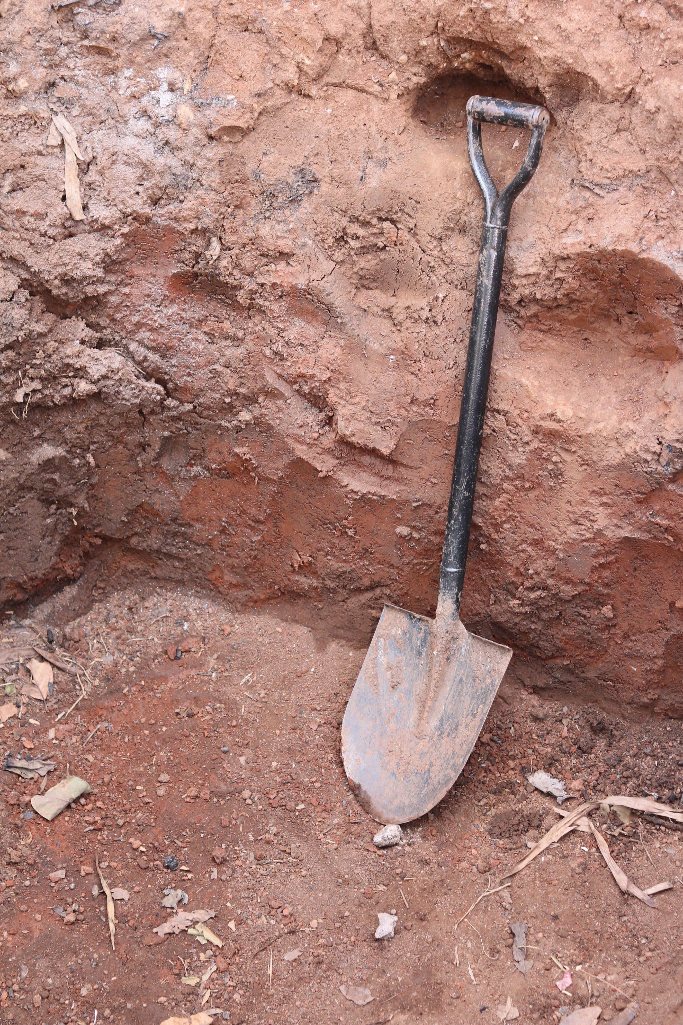 a spade stuck in the ground next to a rock