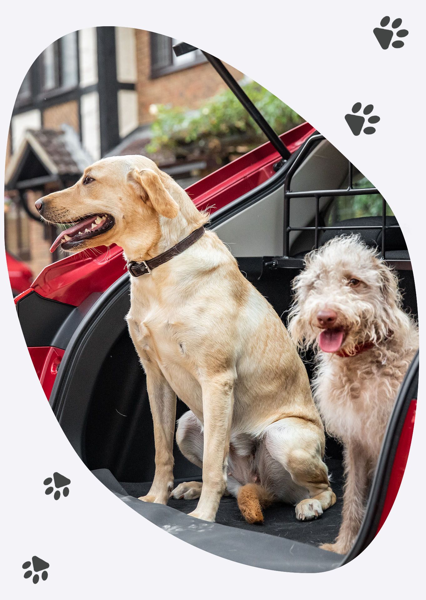 New Dog Accessory Car Packs Are Out Honda UK