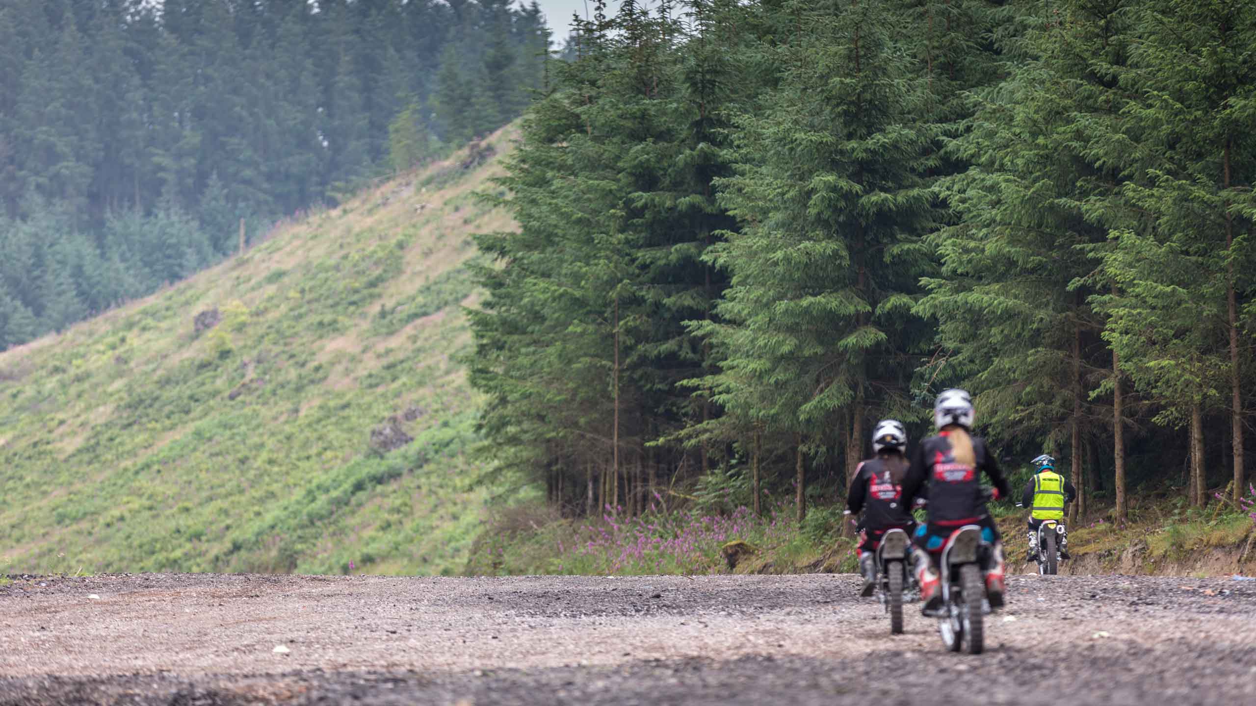 Riders in wooded area at the Dave Thorpe Honda Off-Road Centre