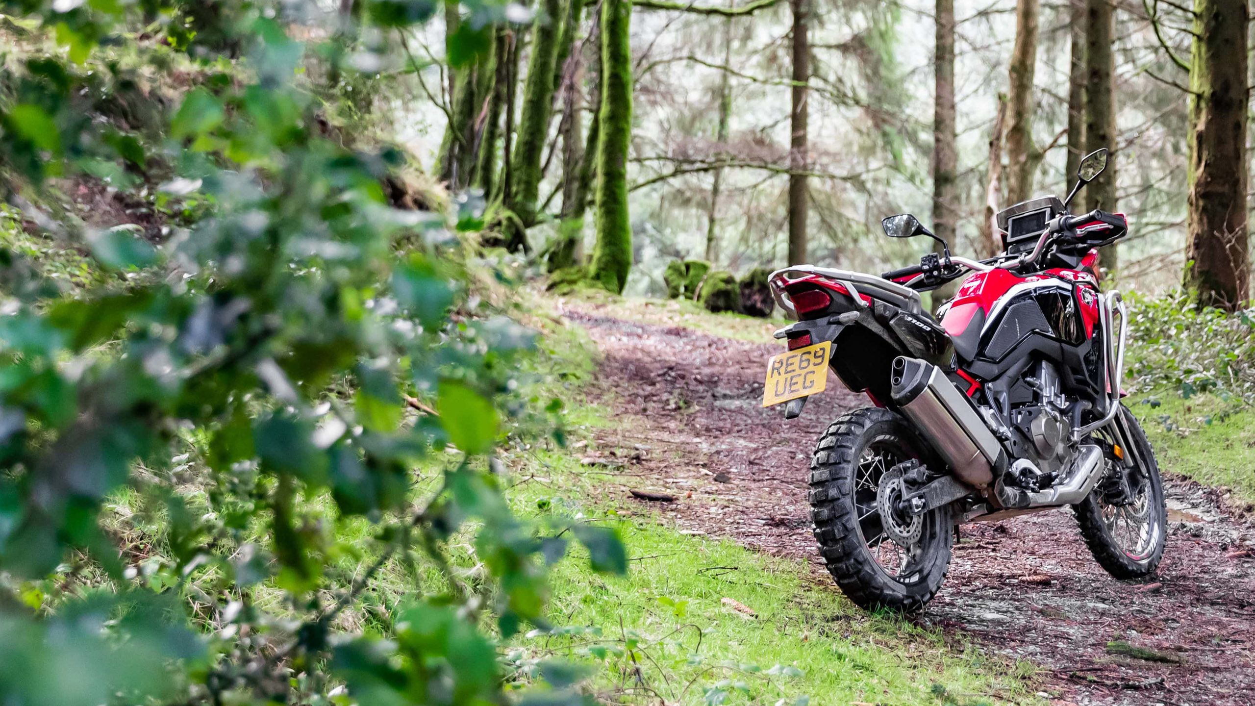 Off-road Honda motorcycle parked in a wooded area.