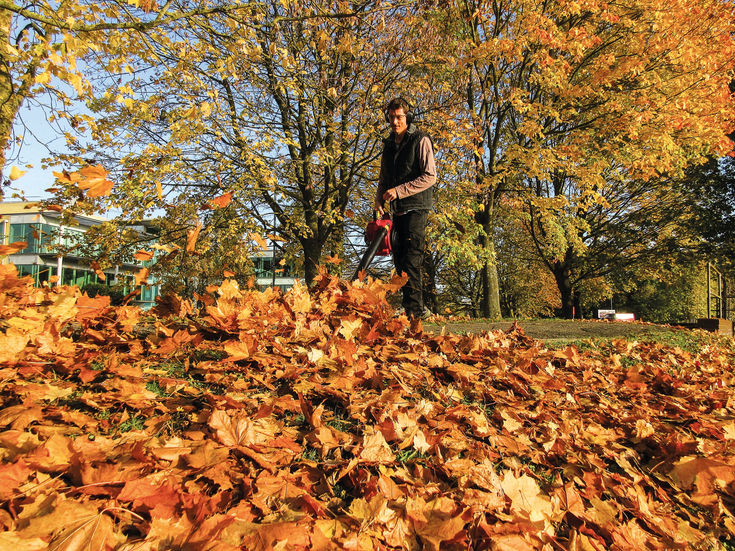 man using a honda leaf blower to clear autumn leaves