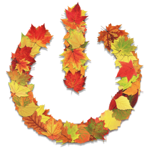 power on off standby logo in autumn leaves honda