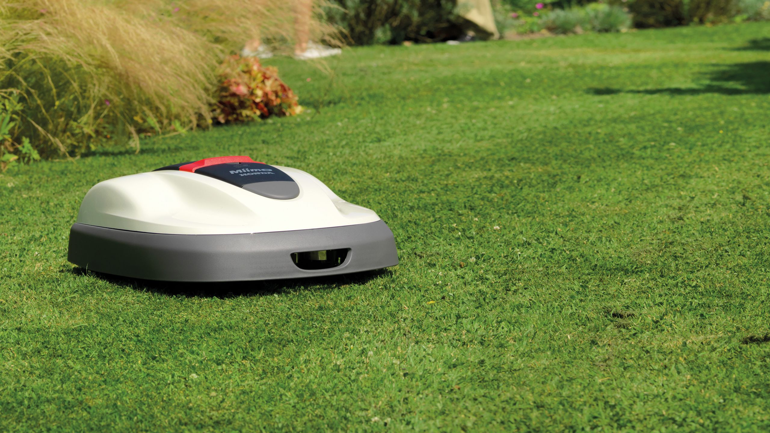 Honda Miimo 310 / 520