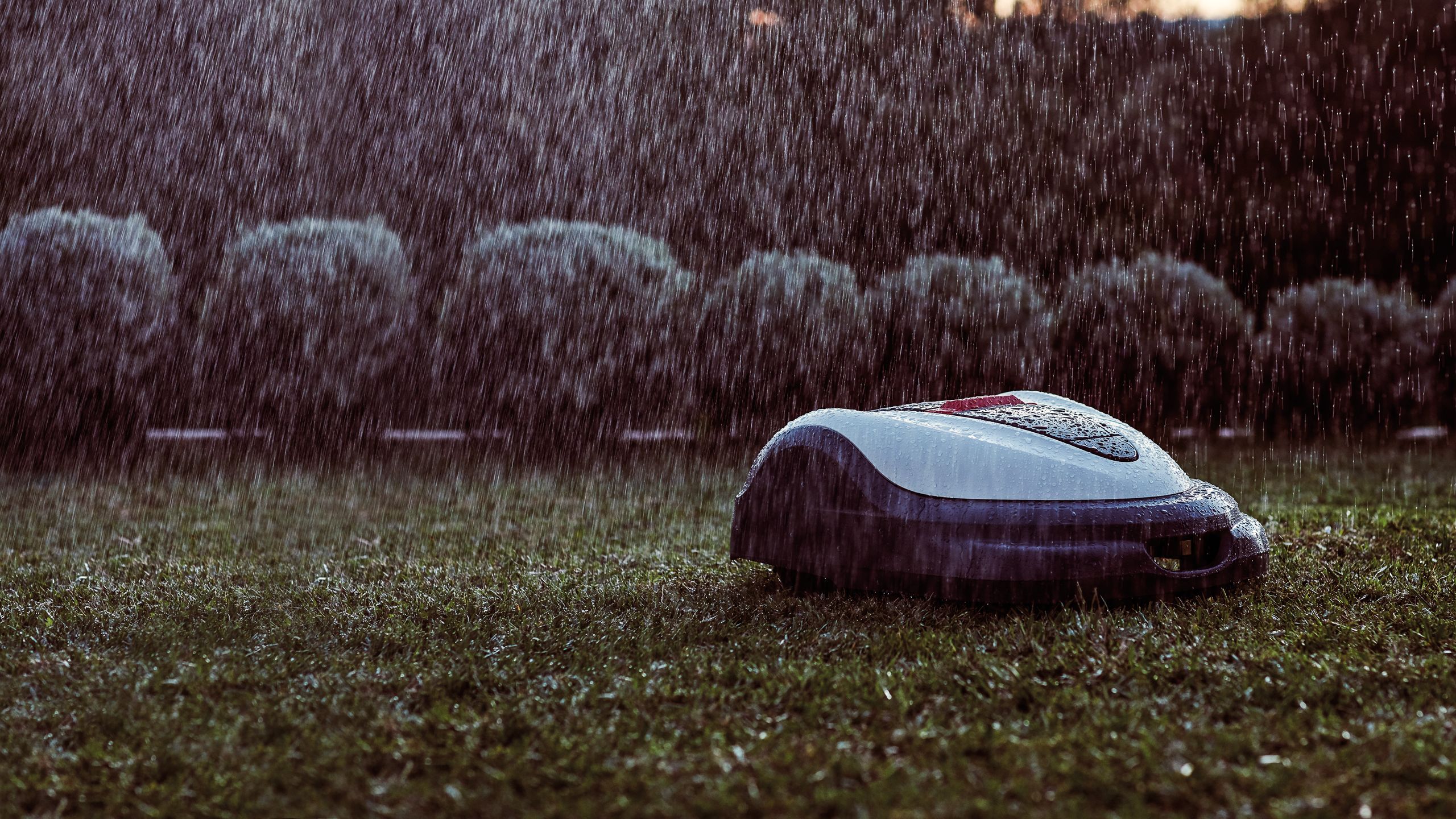 Built to last - 5 Years Warranty