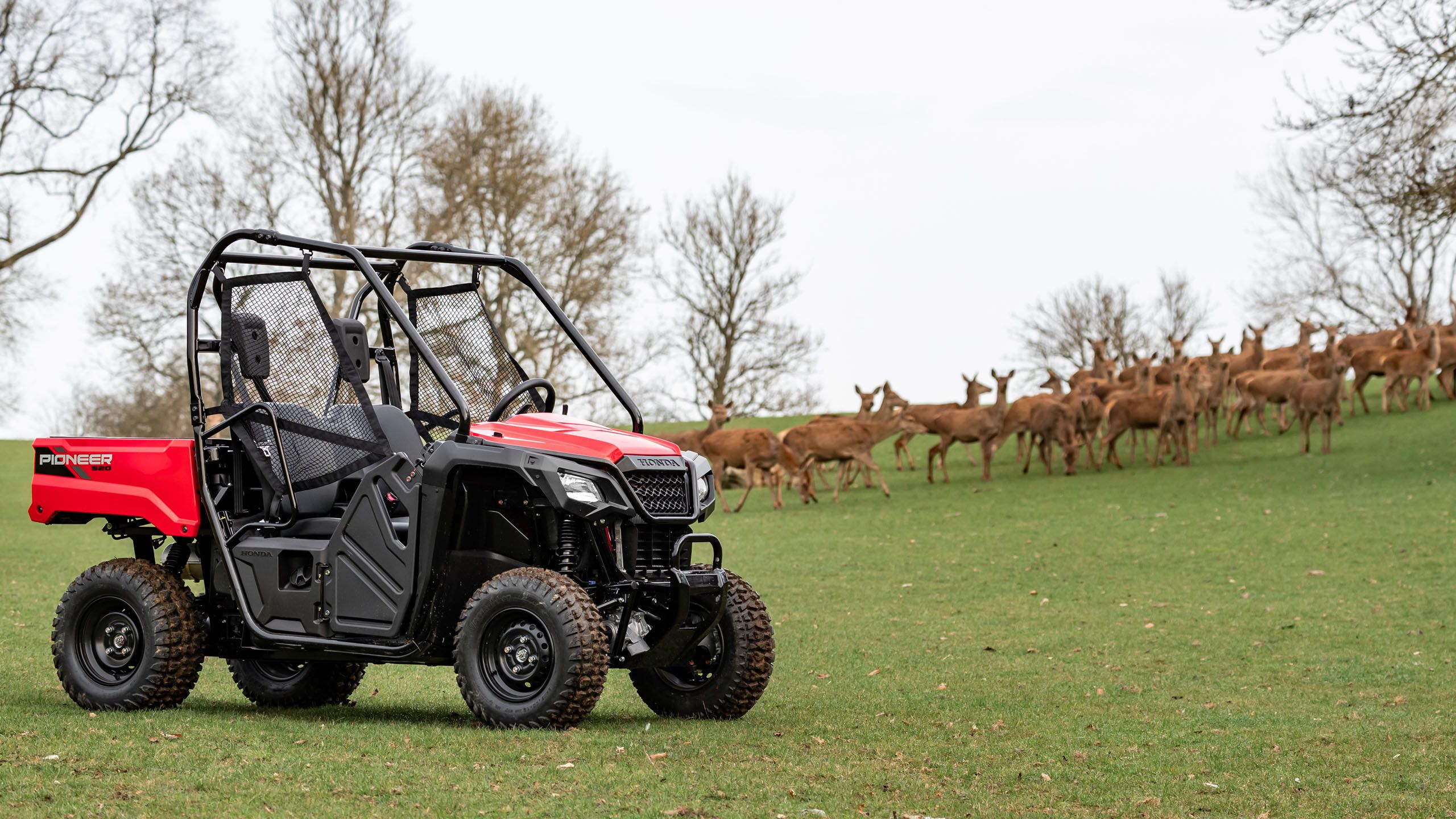 Honda Launches New Pioneer 520 UTV Honda Engine Room